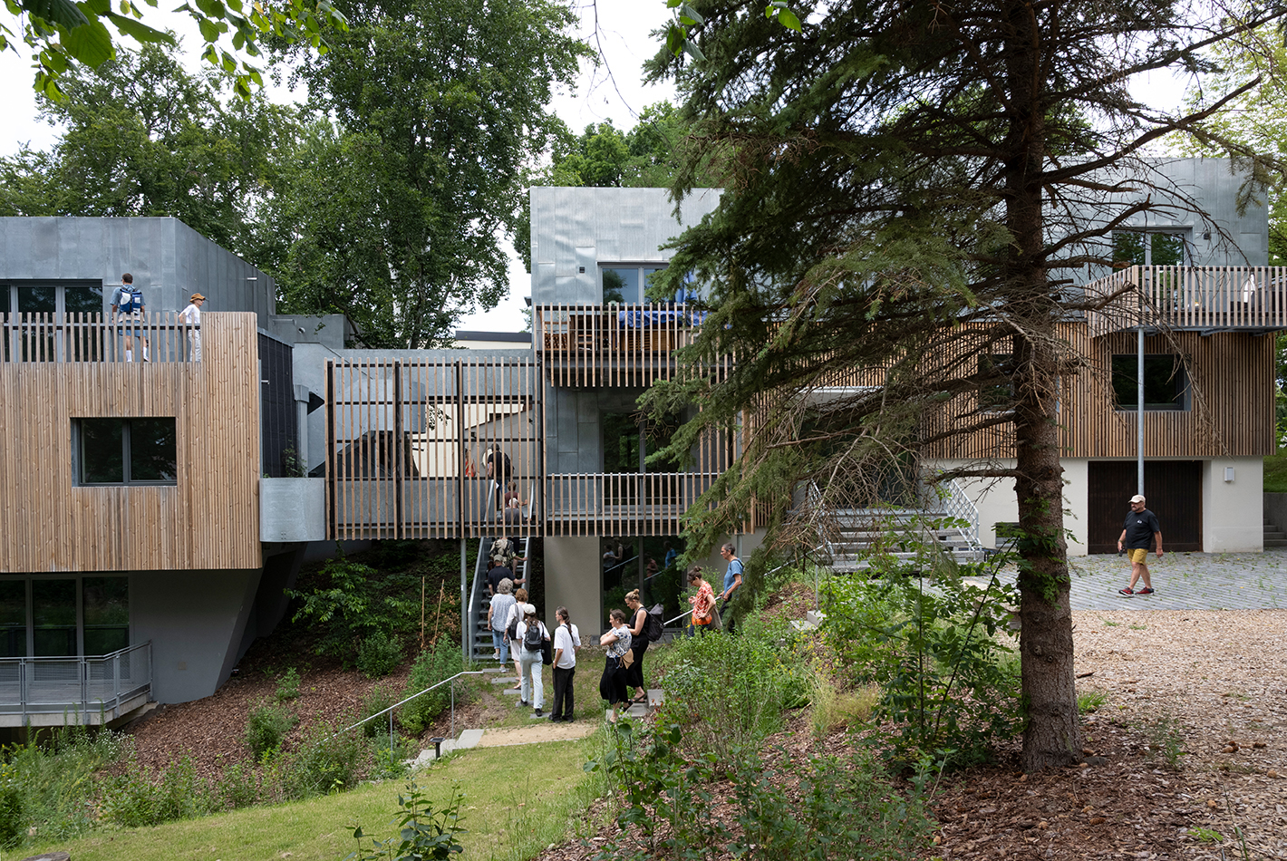 Wohnanlage Wacholderweg Berlin – urwüchsiger Garten der ressourcenschonend in Holzbauweise errichteten Mietanlage, Architekturfotografie IV Fotografie für bfstudio-architekten