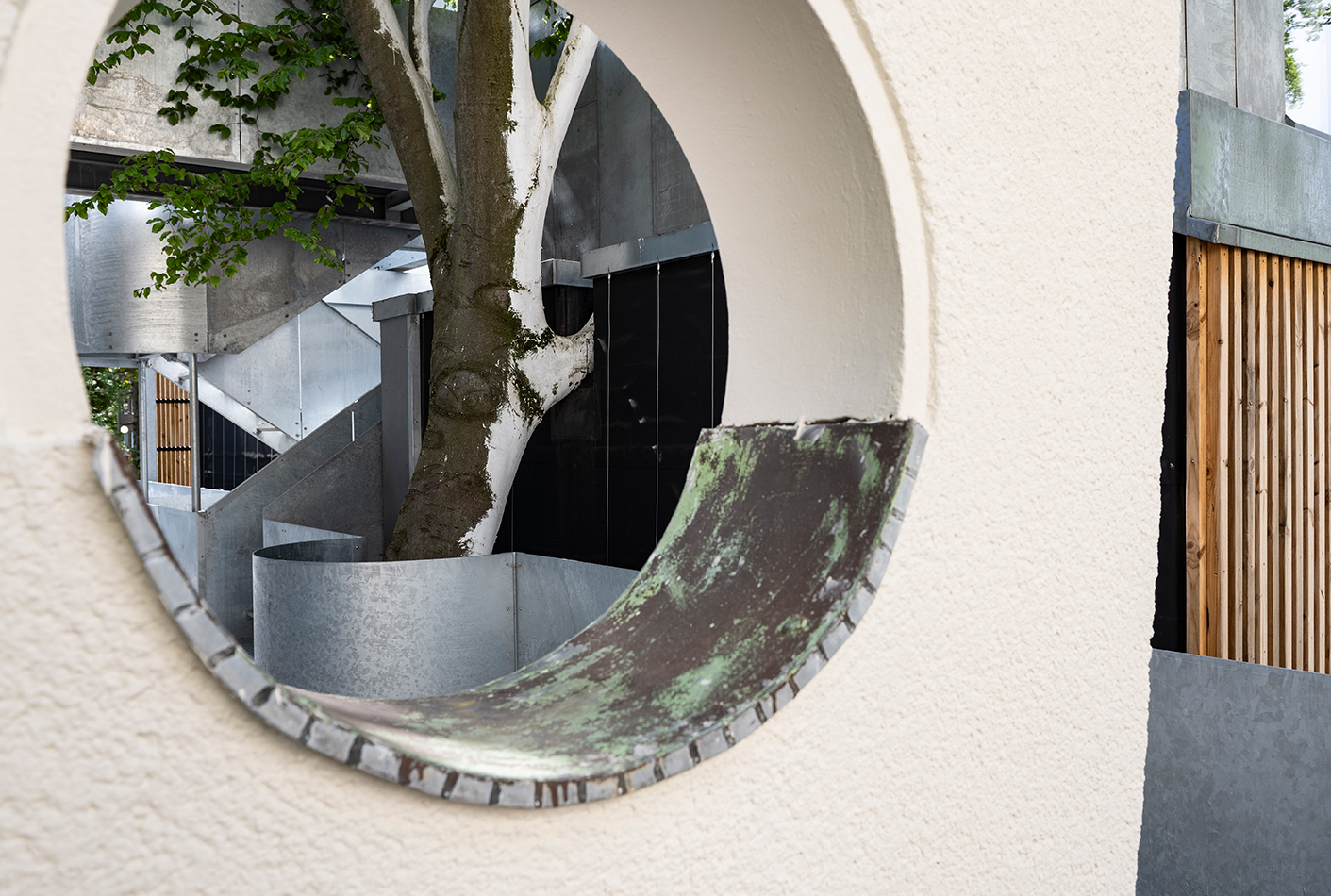 Historische 60-jährige Rotbuche als Bindeglied zwischen Alt- und Neubau – Wohnanlage Wacholderweg Berlin, bfstudio-architekten